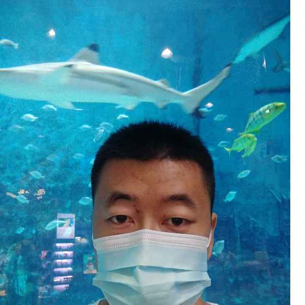 河北34岁单身帅哥真诚找对象-吐鲁番征婚相亲网