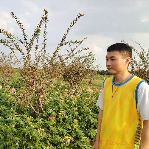 37岁岁广东单身帅哥 - 吐鲁番吉缘网